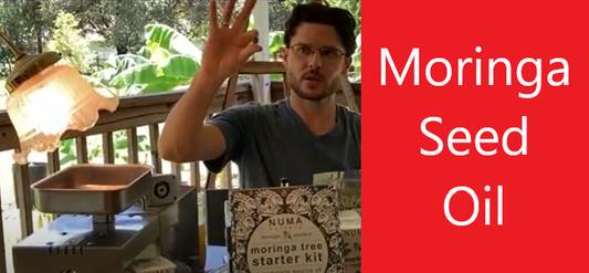 Moringa Seed Oil