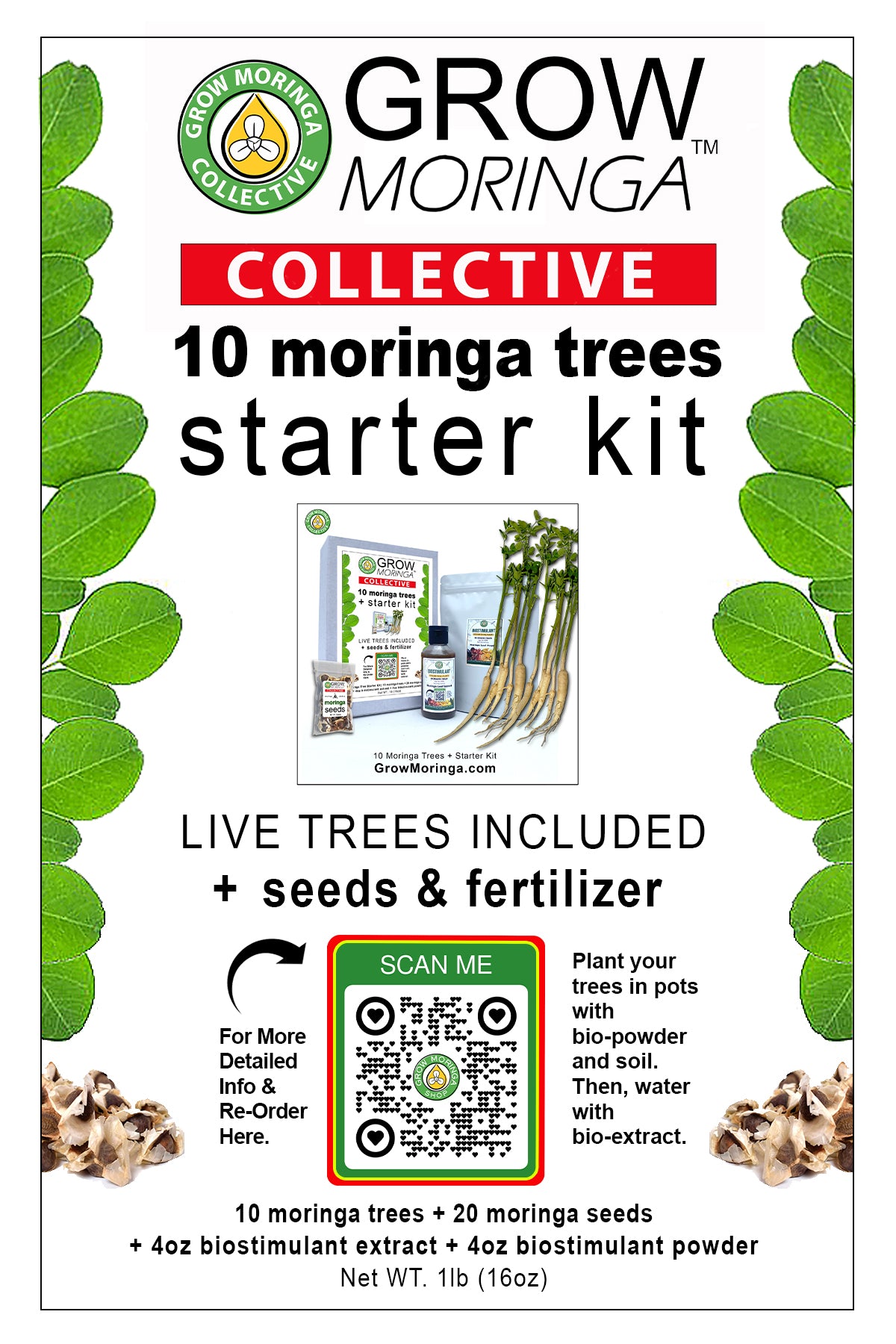 10 Moringa Trees + Starter Kit | Plant Food | Indoor & Outdoor Use | Increase Fruit & Veggie Yields