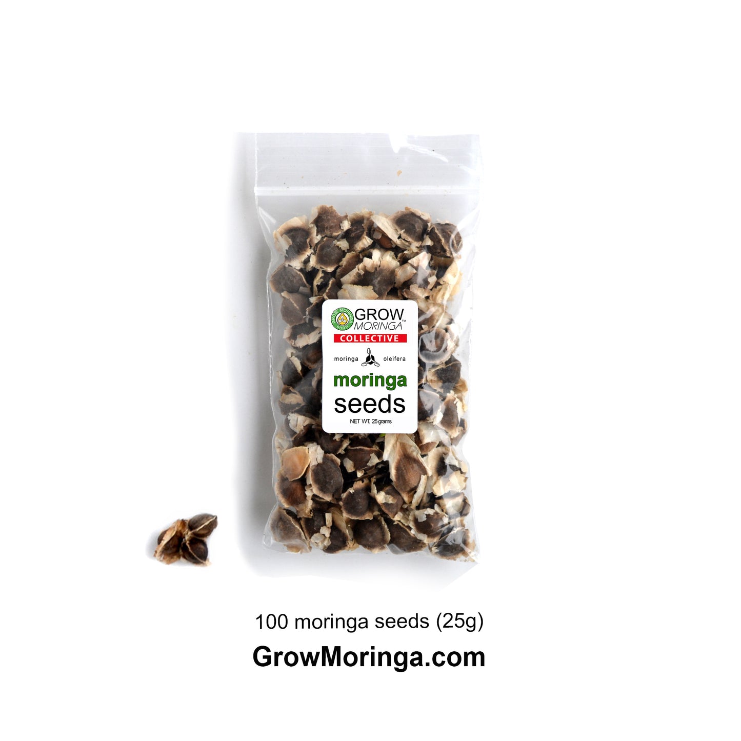 Moringa Seeds PKM1 | USDA Certified Organic