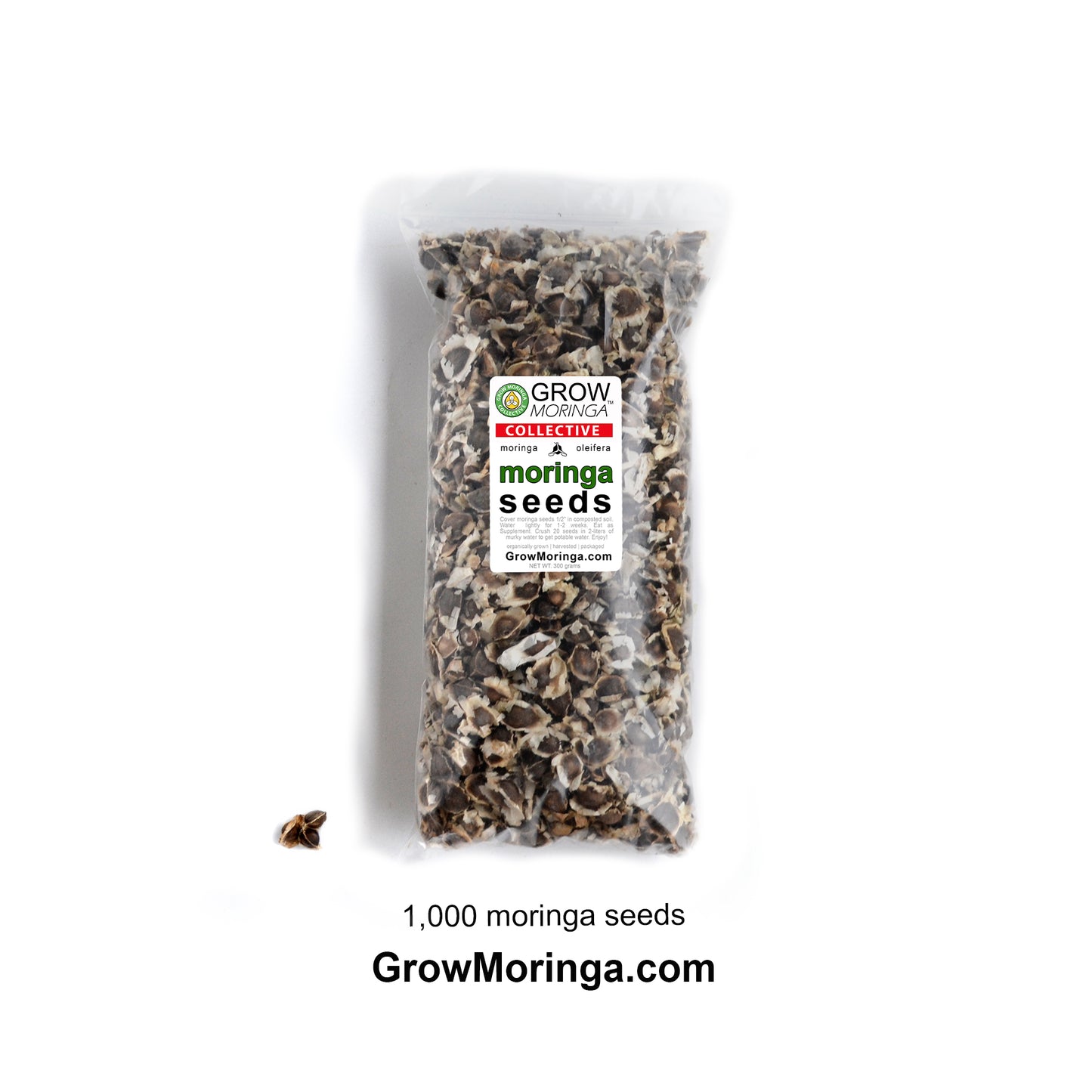 Moringa Oleifera Seeds PKM1 High Germination Edible Superfood