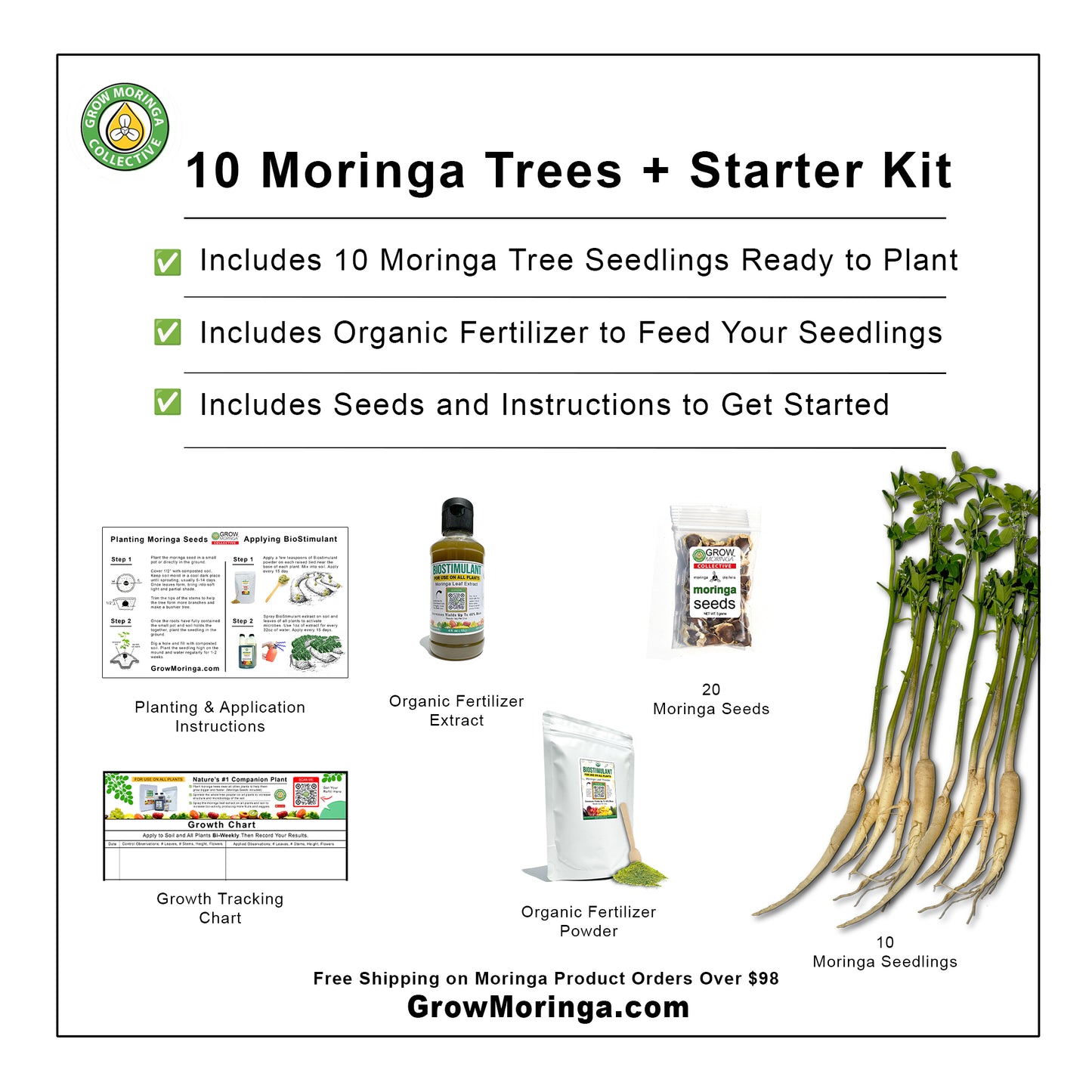 10 Moringa Trees + Starter Kit | Plant Food | Indoor & Outdoor Use | Increase Fruit & Veggie Yields