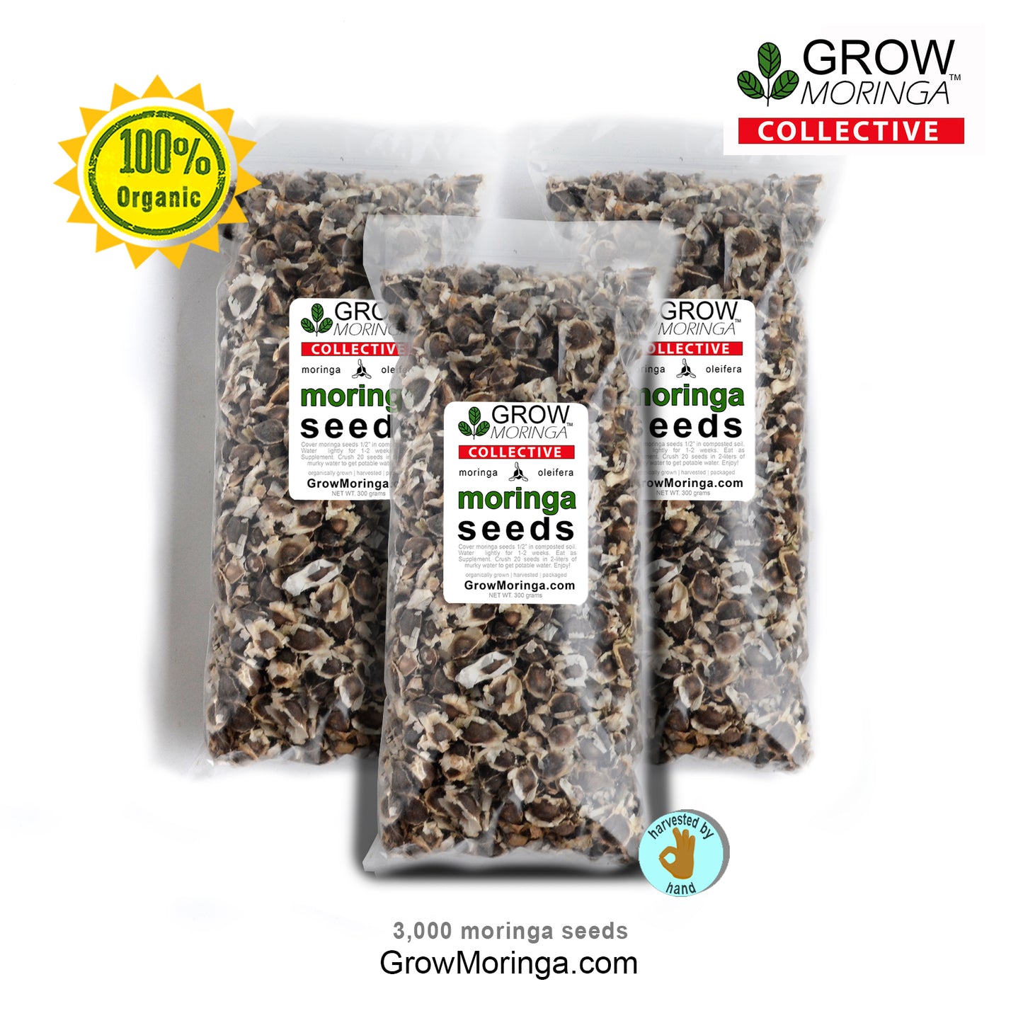 Moringa Oleifera Seeds PKM1 High Germination Edible Superfood