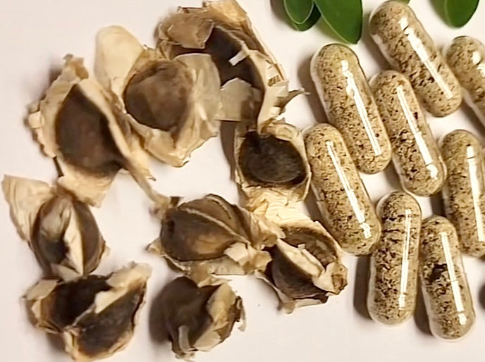 Moringa Whole Seed Powder Supplements | Vegan Non-GMO