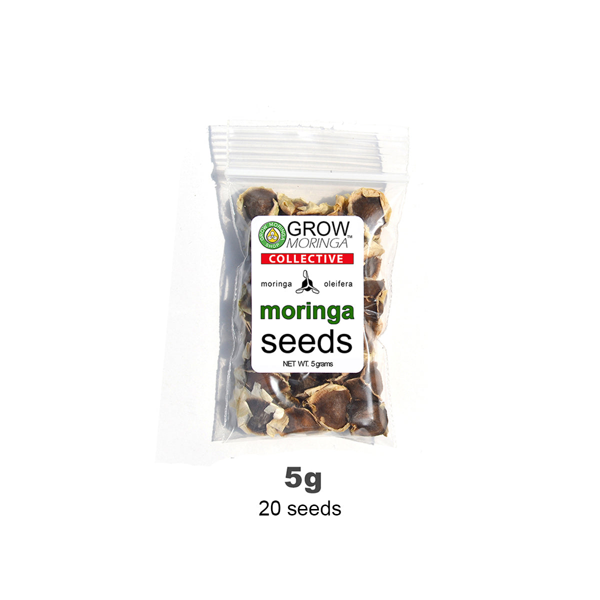 Moringa Seeds PKM1 | USDA Certified Organic