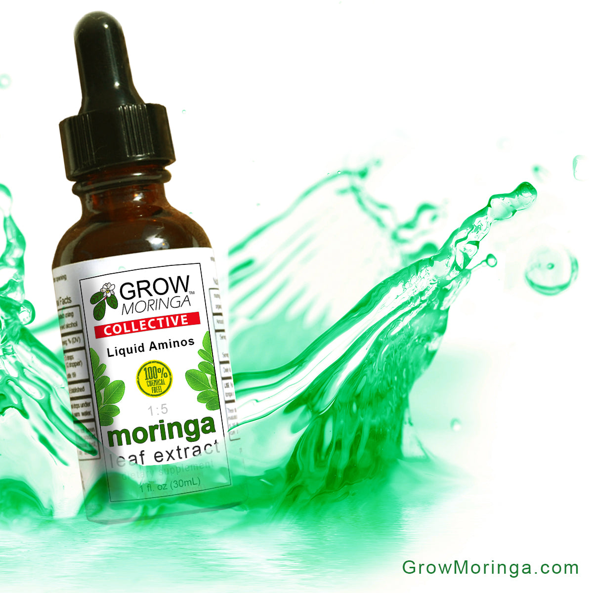 Moringa Leaf Extract Supplement | Tincture | Liquid Amino Acids