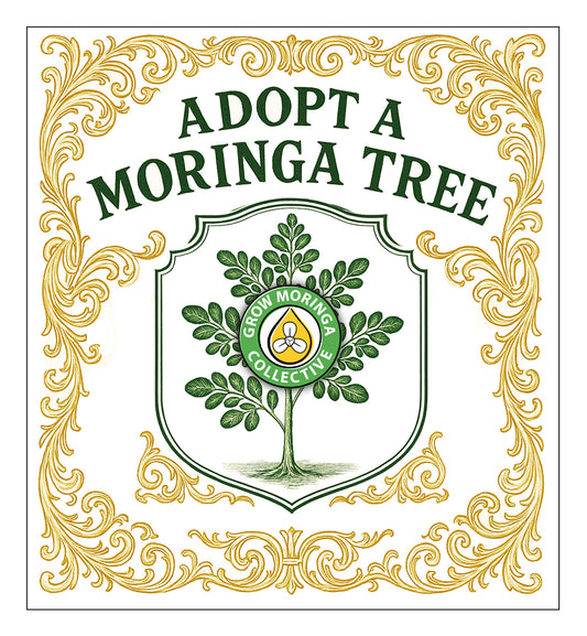 Adopt-a-Moringa Tree Sponsorship