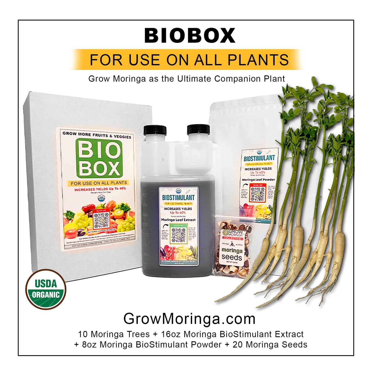 10 Moringa Trees + BioBox | Plant Food | Indoor & Outdoor Use | Increase Fruit & Veggie Yields