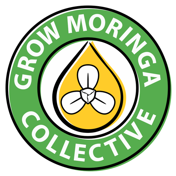 Grow Moringa logo