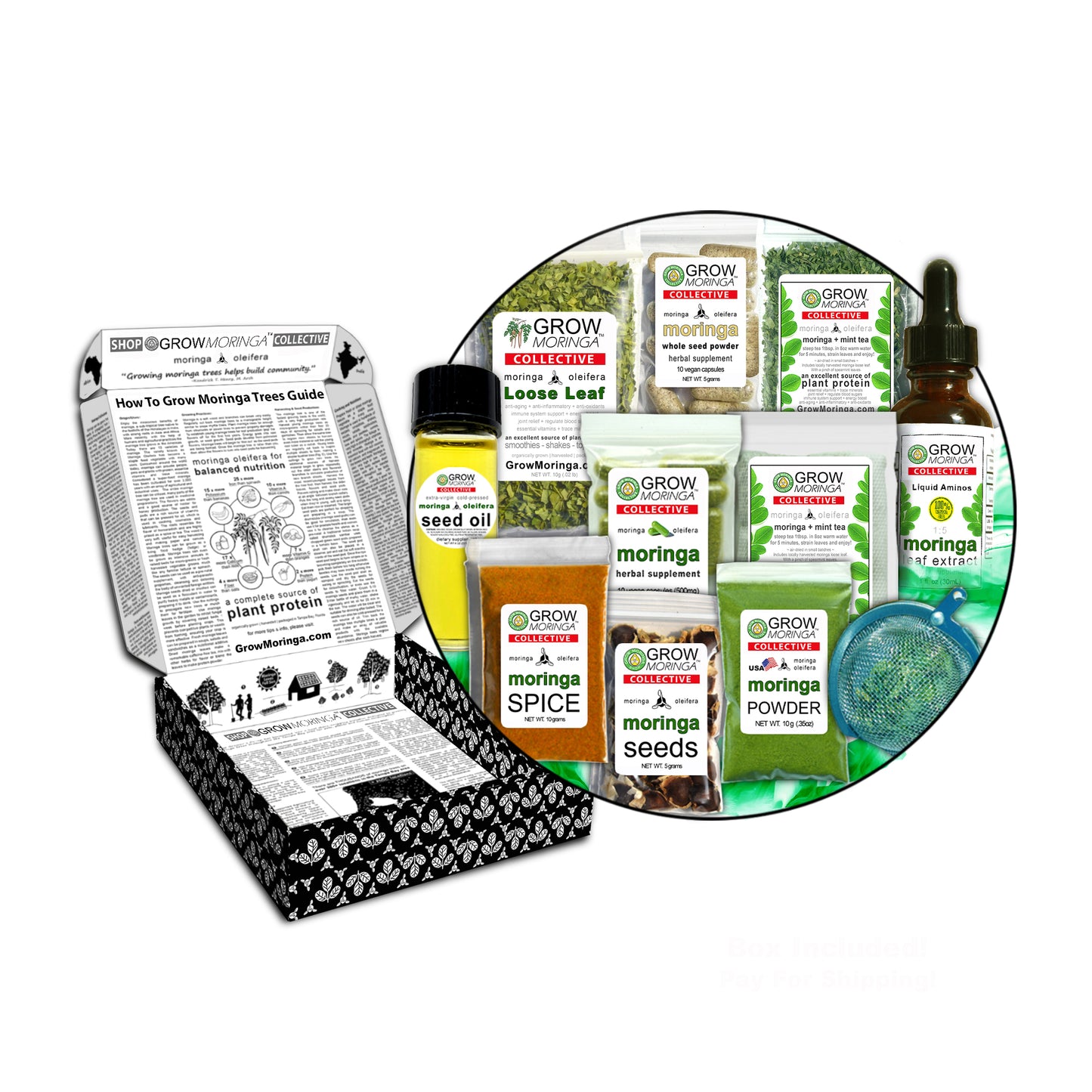 10 Moringa Trees + Gift Box | Variety Pack Sample Sizes