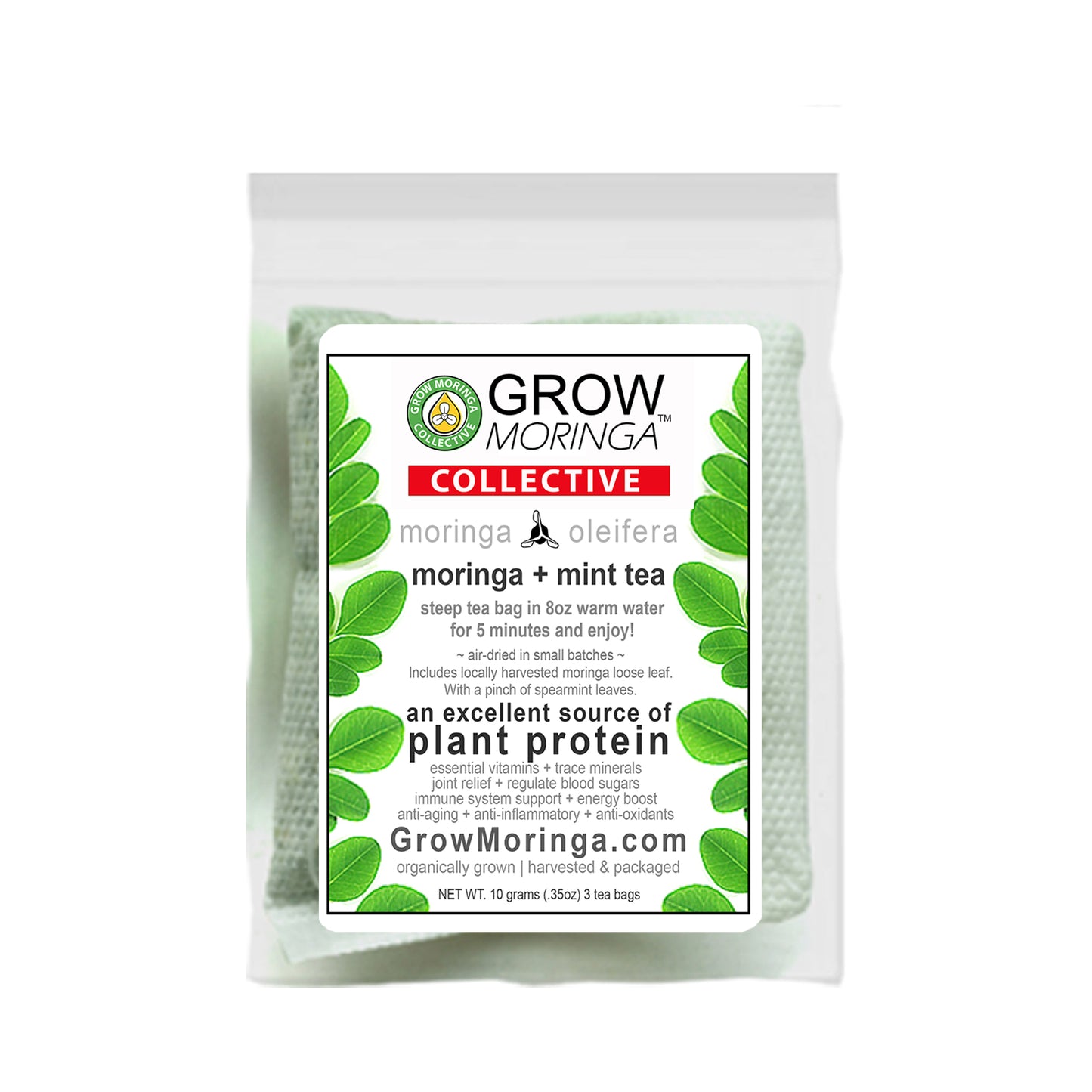Moringa + Mint Tea Box