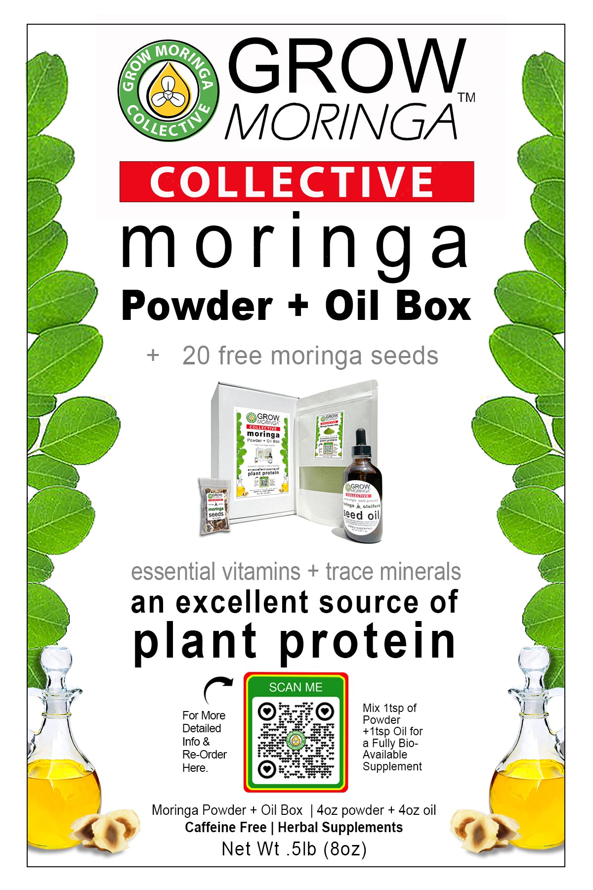 10 Moringa Trees + USA Powder & Oil Box | Free Moringa Seeds