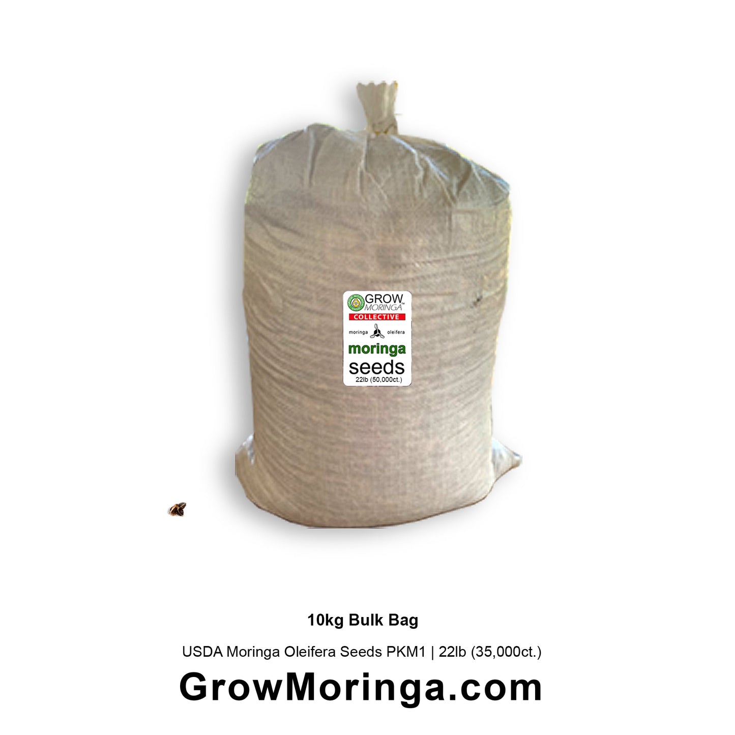 Moringa Oleifera Seeds PKM1 High Germination Edible Superfood