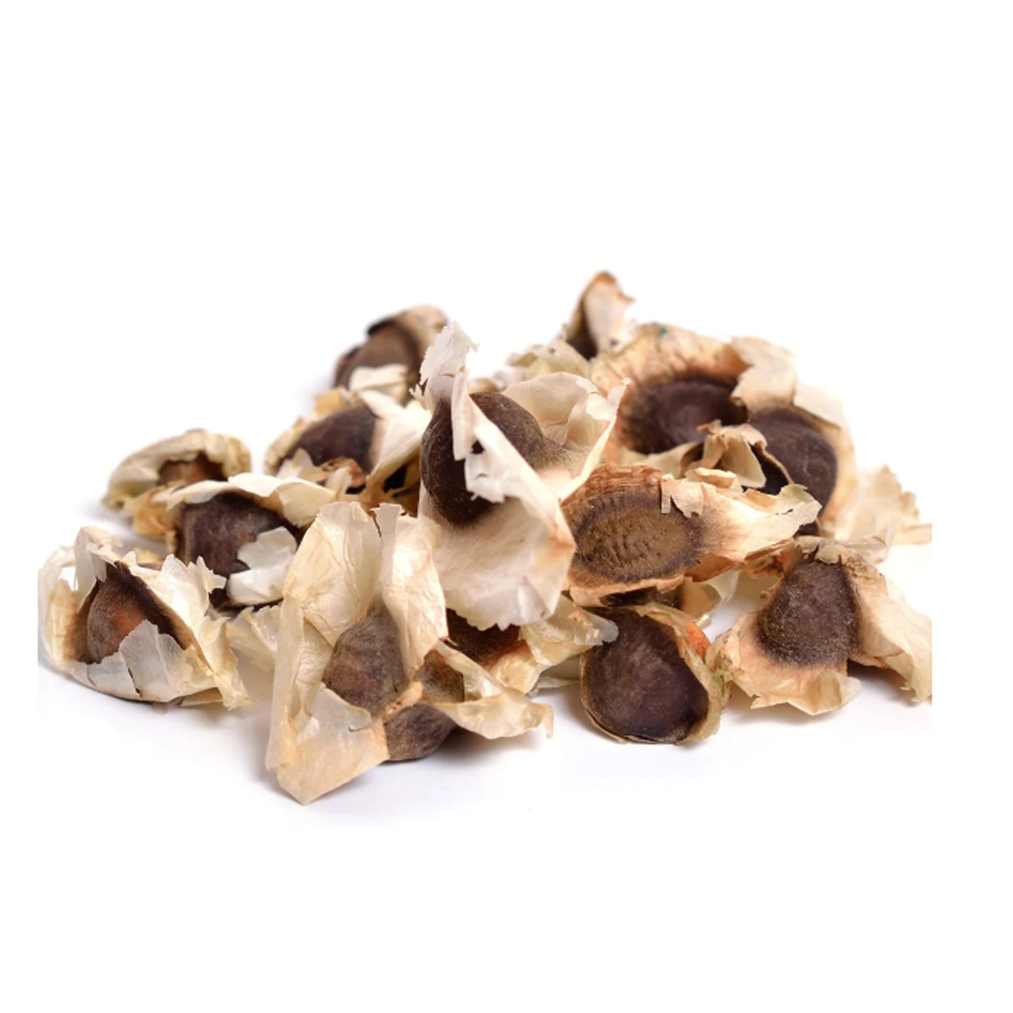 moringa seeds