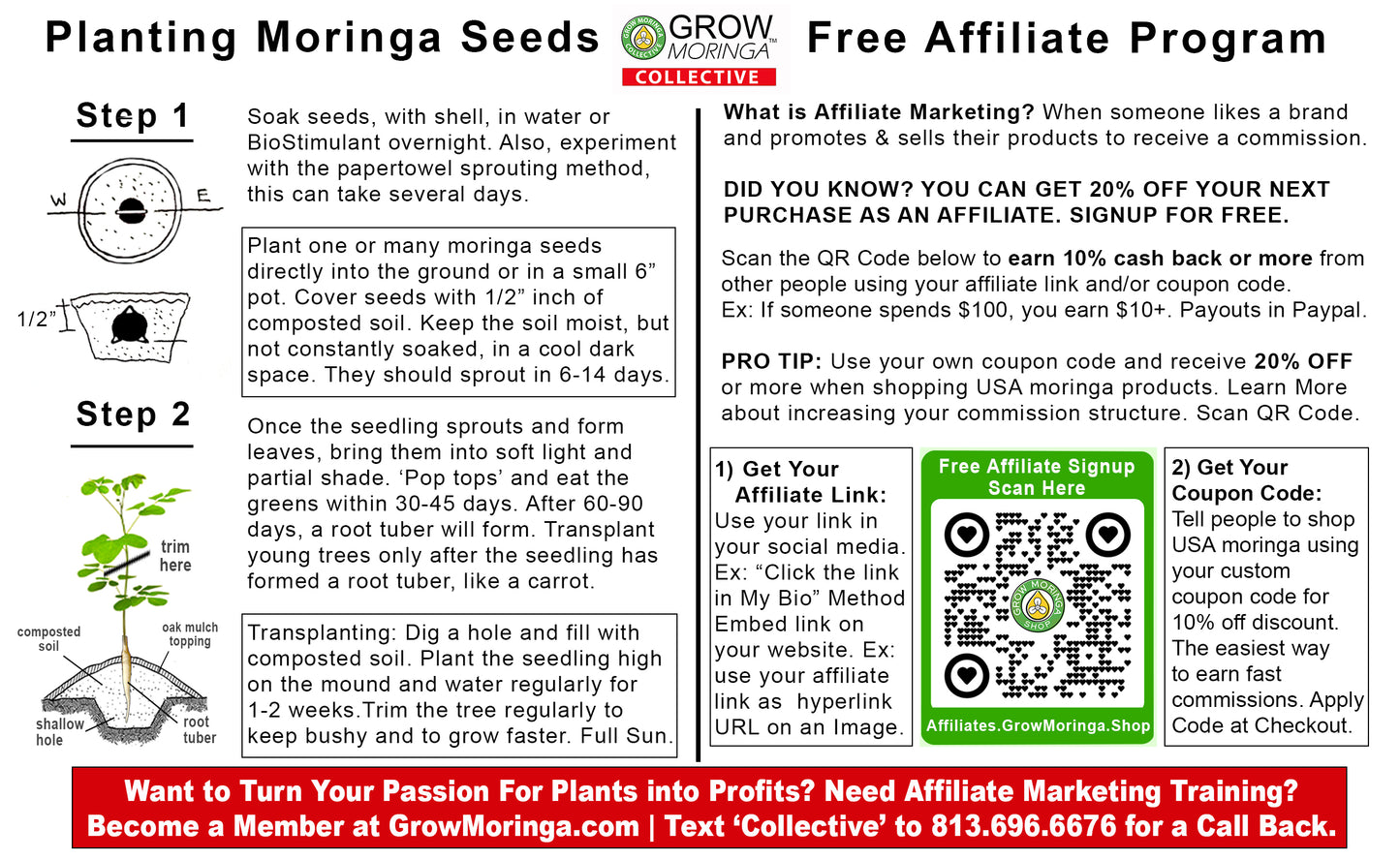 10 Moringa Trees + Starter Kit | Plant Food | Indoor & Outdoor Use | Increase Fruit & Veggie Yields