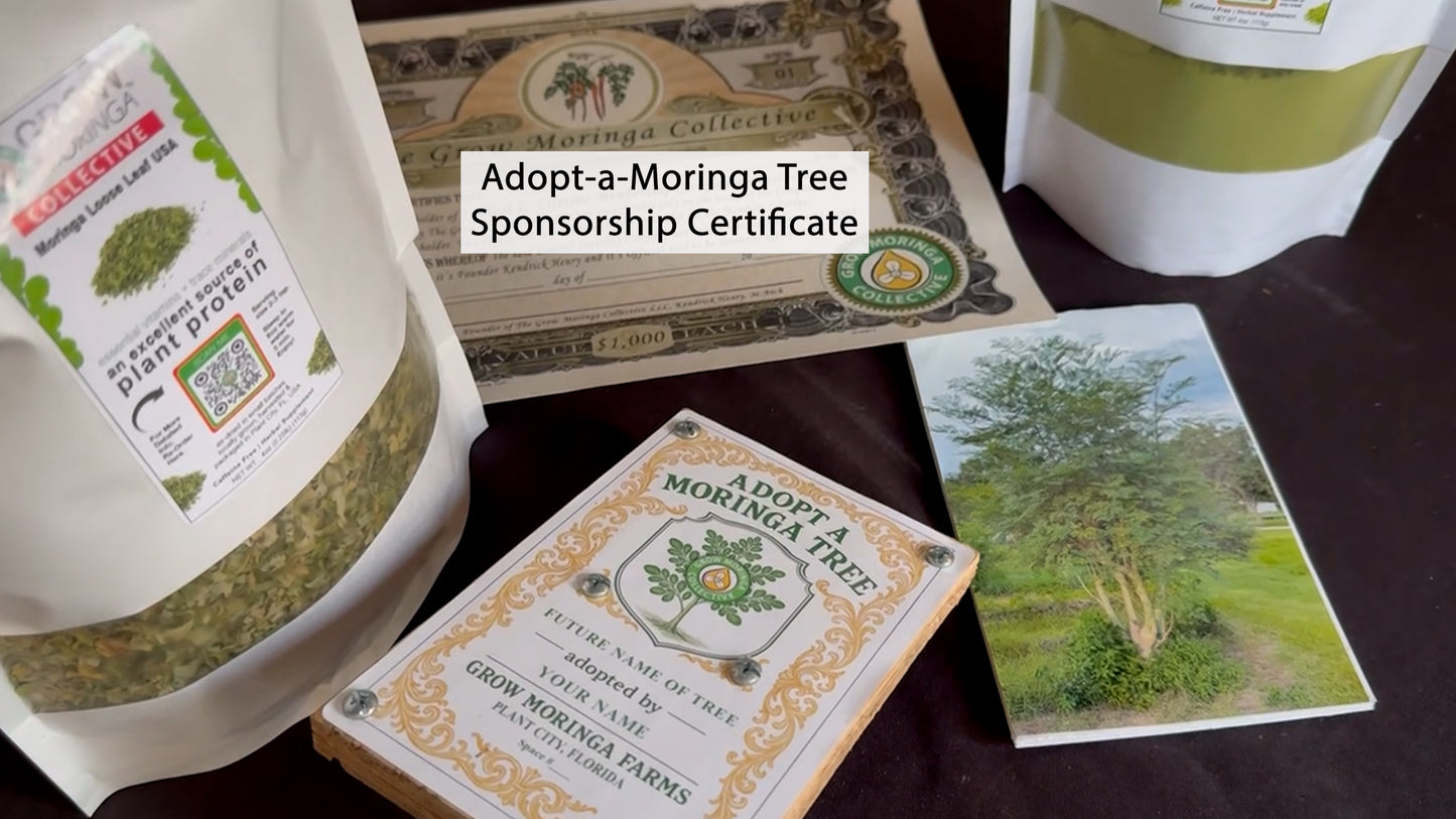 Adopt-a-Moringa Tree Sponsorship