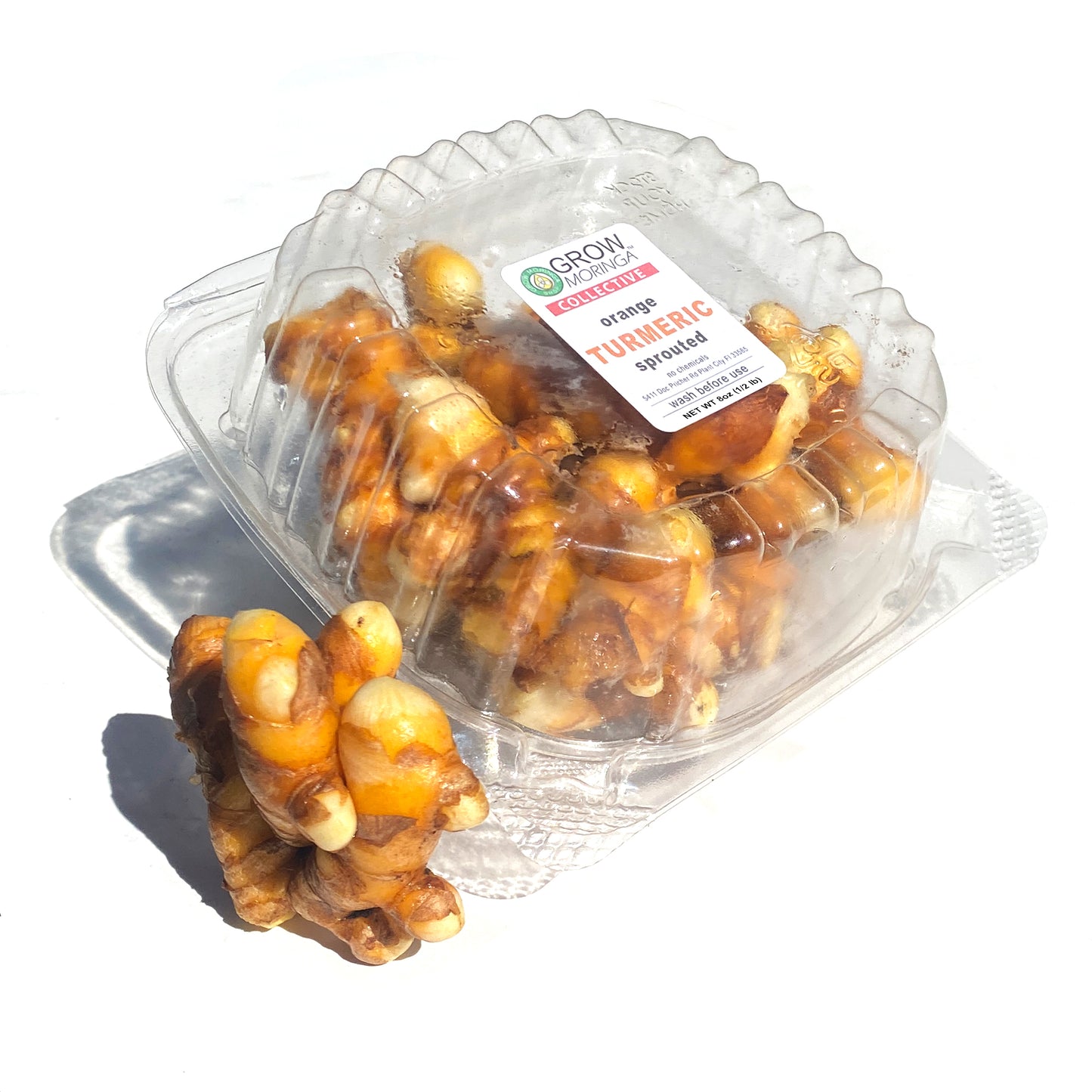 Turmeric Root | Fresh Picked | Orange Curcuma Longa
