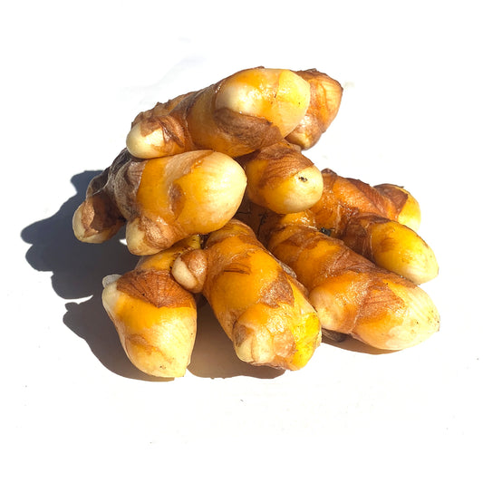 Turmeric Root | Fresh Picked | Orange Curcuma Longa