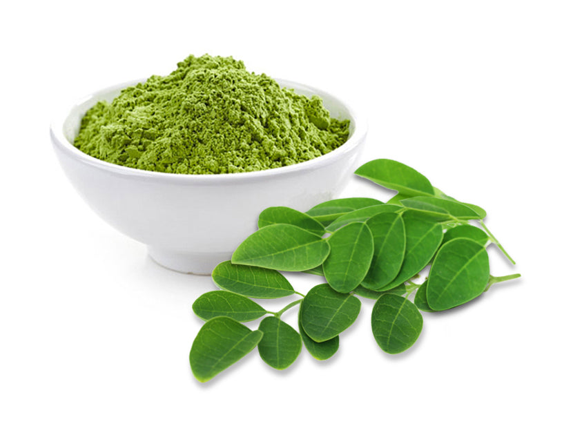 Moringa Powder USA