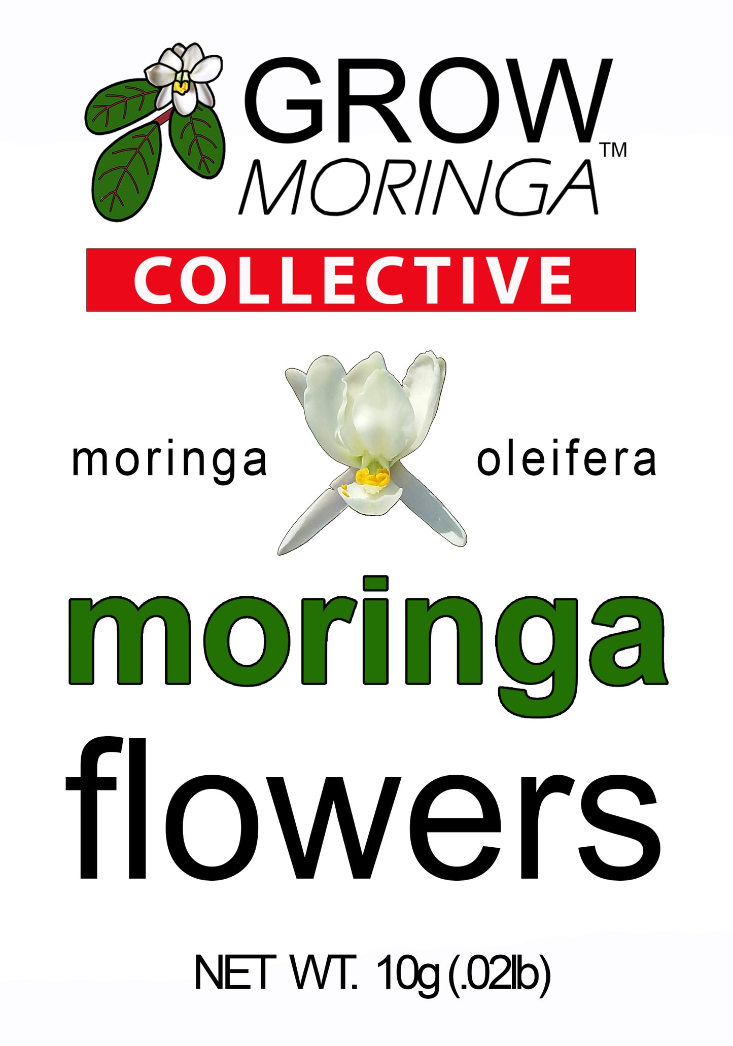 Moringa Flowers USA