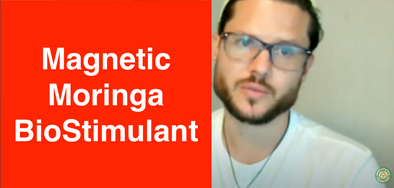 Magnetic Moringa BioStimulant