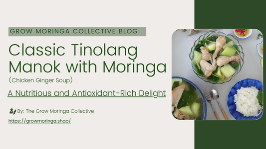 Classic Tinolang Manok Recipe with Moringa: A Nutritious and Antioxidant-Rich Delight