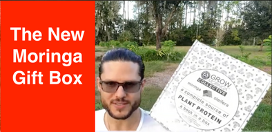 The New Moringa Gift Box