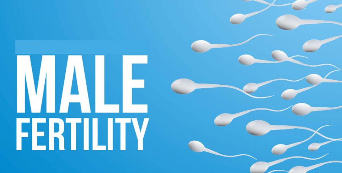 Male Fertility in America
