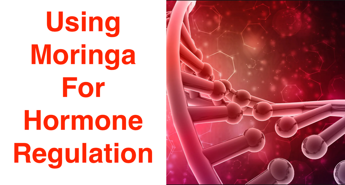 How Moringa Helps Hormone Regulation