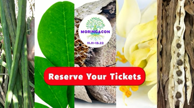 MoringaCon: Exposing $20 Billion Dollar Moringa Tree Industry During 3-Day Online Conference Event