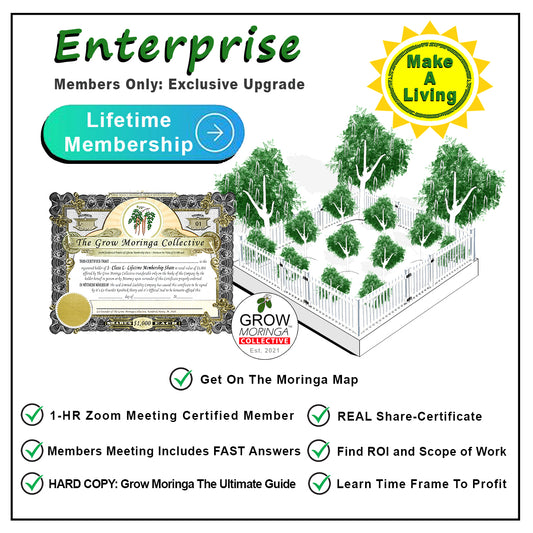 Enterprise 'Lifetime' Membership Share and Certificate