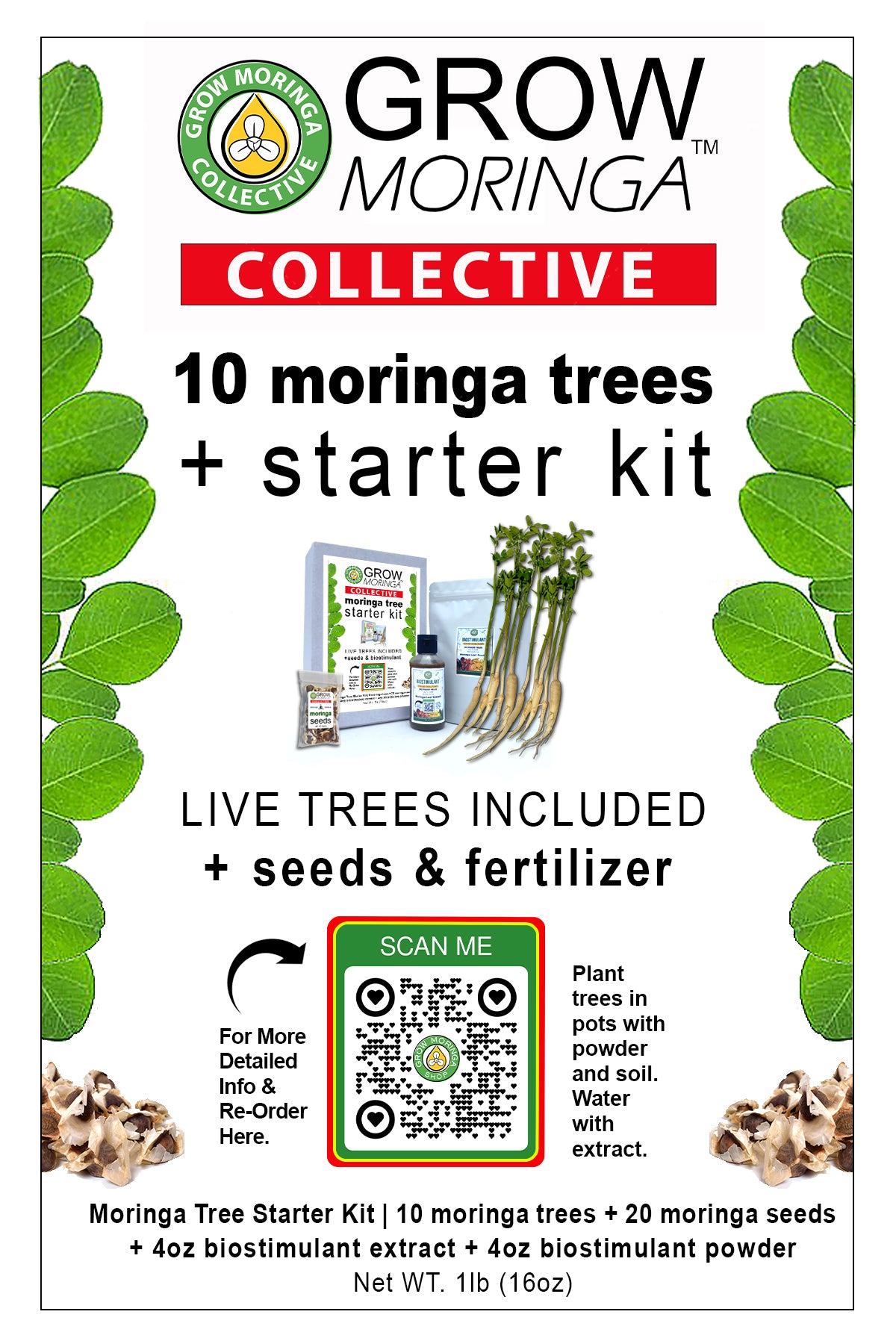 10 Moringa Trees + Starter Kit