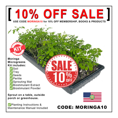 Grow Moringa