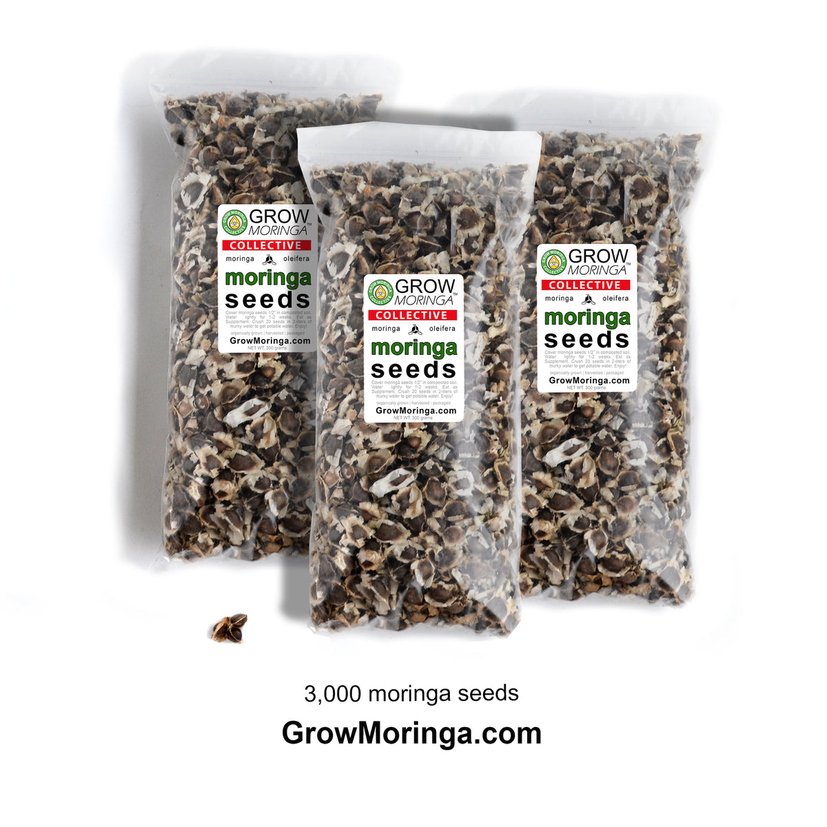 3,000 moringa seeds for greenhouses
