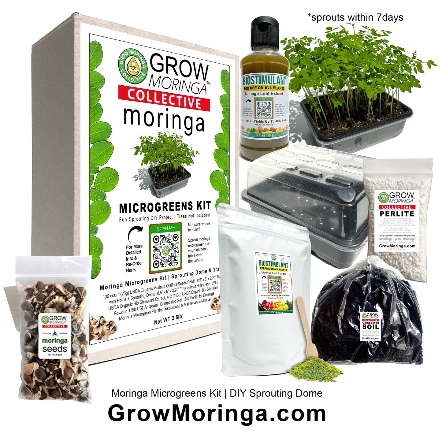 Moringa Microgreens Kit | Indoor DIY Sprouting Dome
