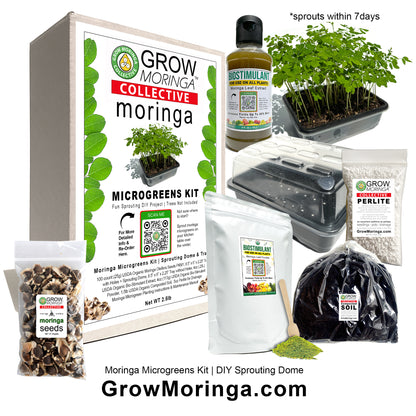 Moringa Microgreens Kit | Indoor DIY Sprouting Dome