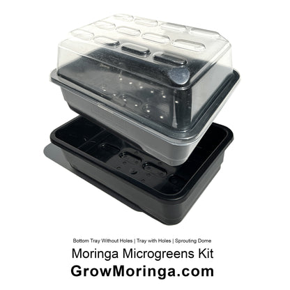 Moringa Microgreens Kit | Indoor DIY Sprouting Dome