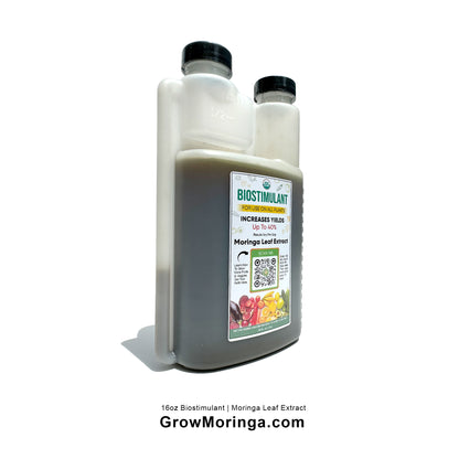 Moringa Leaf Extract | Biostimulant Concentrate