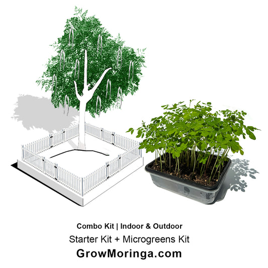 Moringa Combo Kit | Indoor & Outdoor Bundle