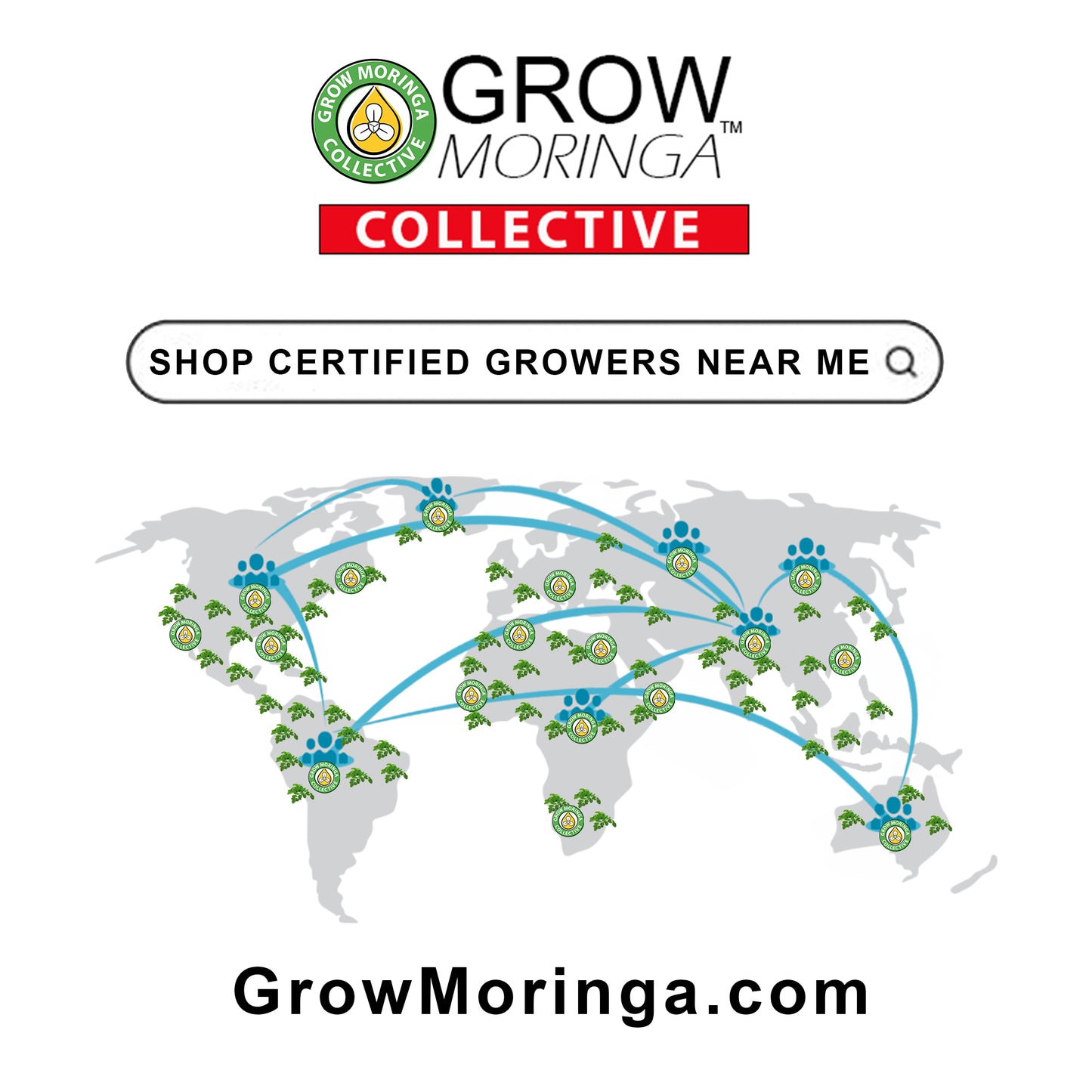 Lifetime Membership