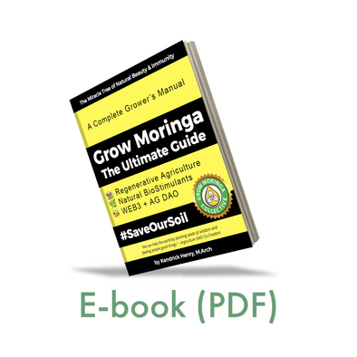 Grow Moringa: The Ultimate Guide | E-book