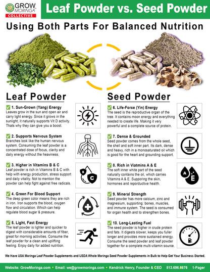 Moringa Balanced Box | Leaf + Seed Powder Supplements