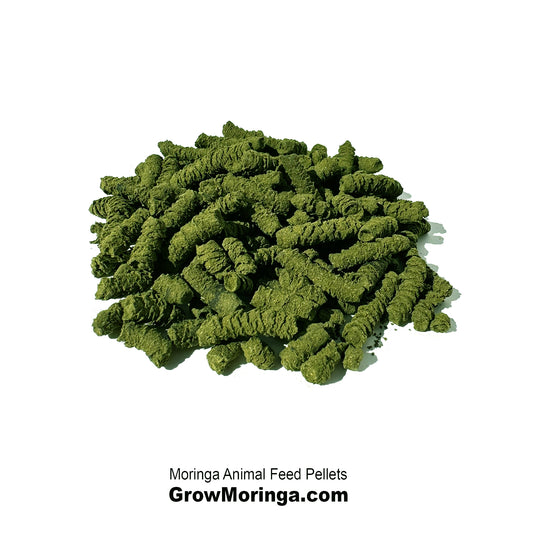 Moringa Animal Feed Pellets