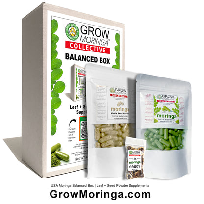 Moringa Balanced Box | Leaf + Seed Powder Supplements