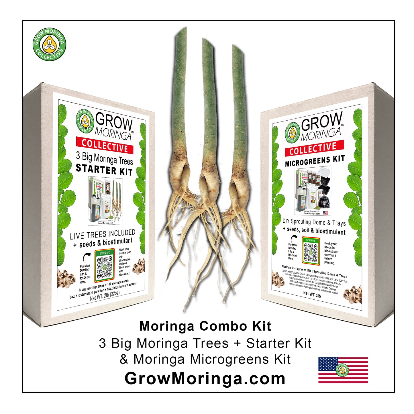 Moringa Combo Kit | Indoor & Outdoor Bundle