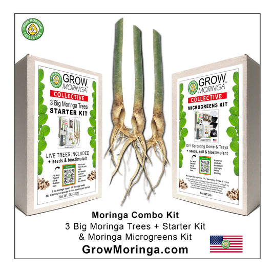 Moringa Combo Kit | Indoor & Outdoor Bundle