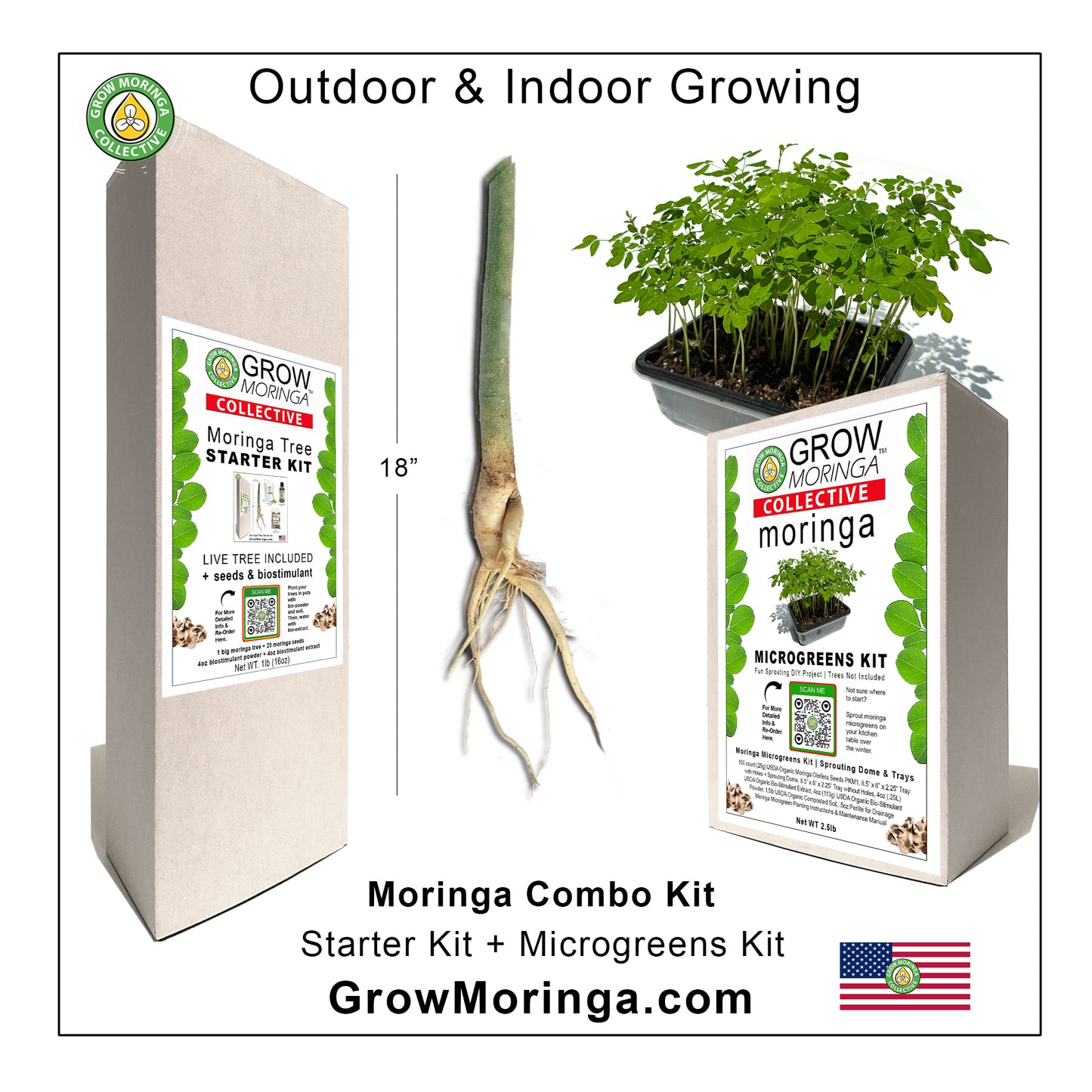 Moringa Combo Kit | Indoor & Outdoor Bundle