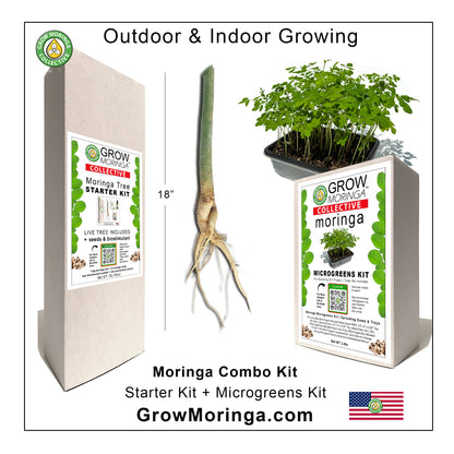Moringa Combo Kit | Indoor & Outdoor Bundle
