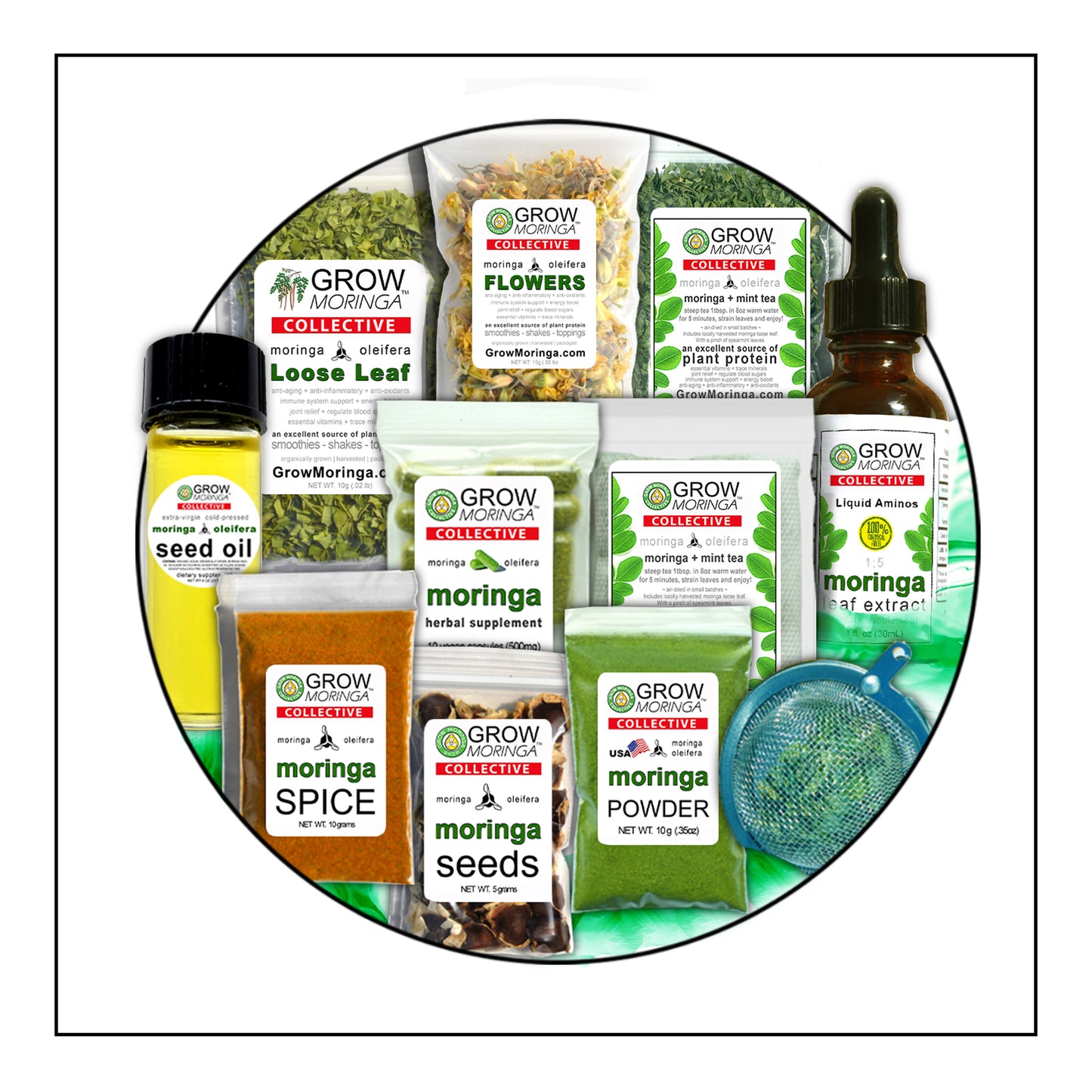 10 Moringa Trees + Gift Box | Variety Pack Sample Sizes