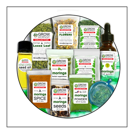 Moringa Gift Box | Superfood Variety Pack | Sample Sizes