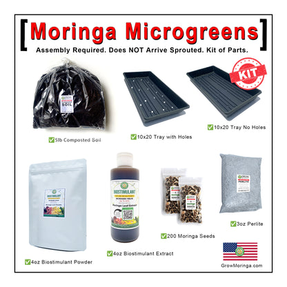 Moringa Microgreens Kit